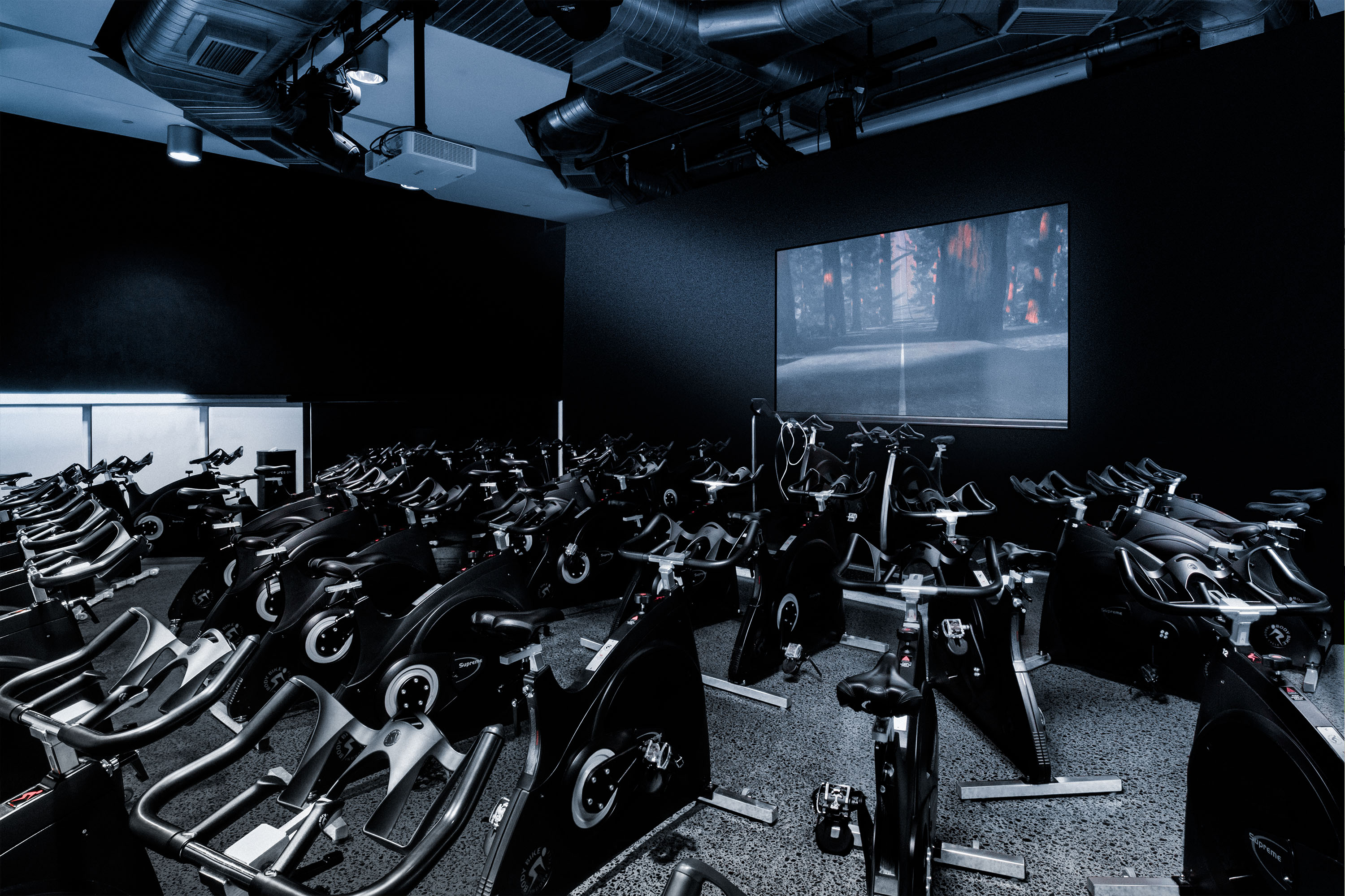 Cycle Studio